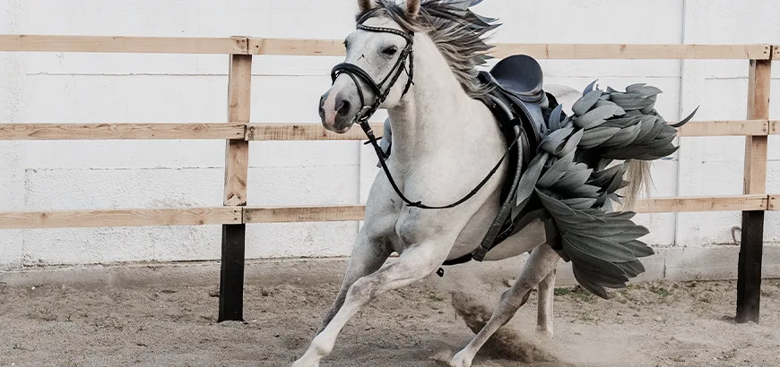 Petreceri pentru copii la Gallop Brăila