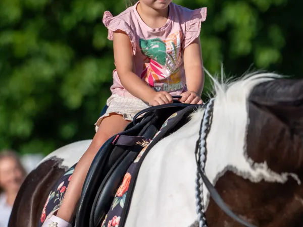 Gallop Brăila — fotografia 40