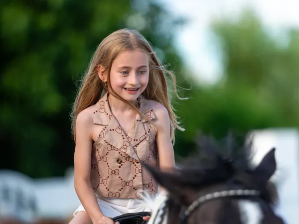 Gallop Brăila — fotografia 47