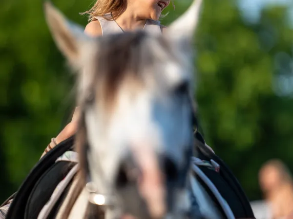 Gallop Brăila — fotografia 199