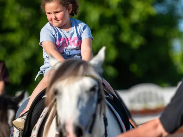 Gallop Brăila — fotografia 55