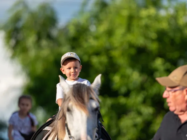 Gallop Brăila — fotografia 57