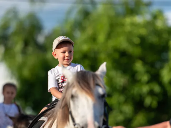 Gallop Brăila — fotografia 58