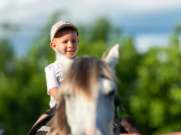 Gallop Brăila — fotografia 59