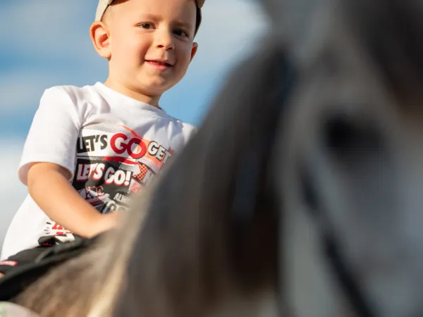 Gallop Brăila — fotografia 61