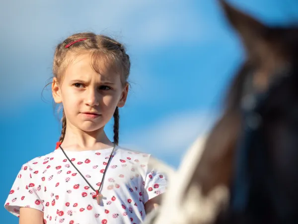 Gallop Brăila — fotografia 63