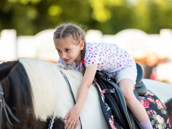 Gallop Brăila — fotografia 65