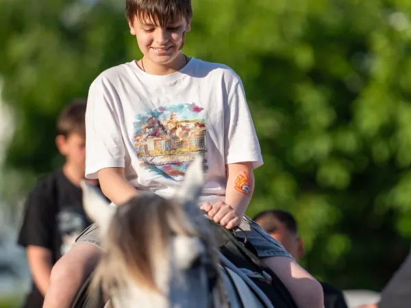 Gallop Brăila — fotografia 68