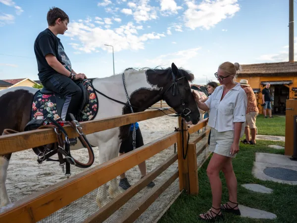 Plimbări călare la Gallop Brăila