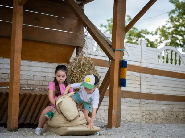 Evenimente pentru copii la Gallop Brăila