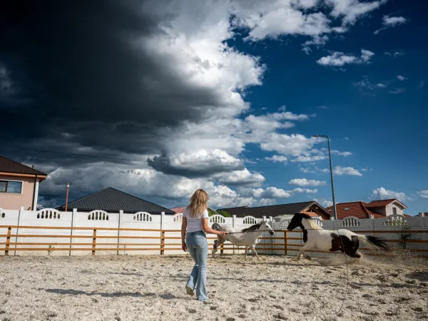 Gallop Brăila — fotografia 93